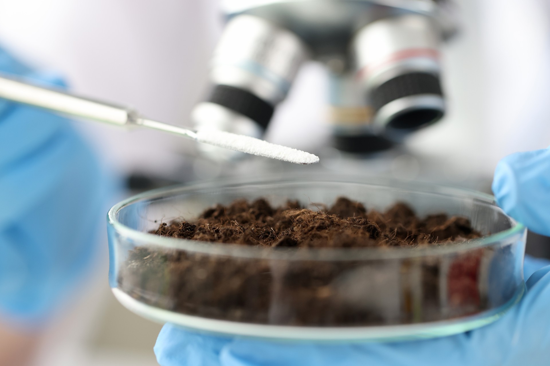 Chemist adding white powder to soil in laboratory