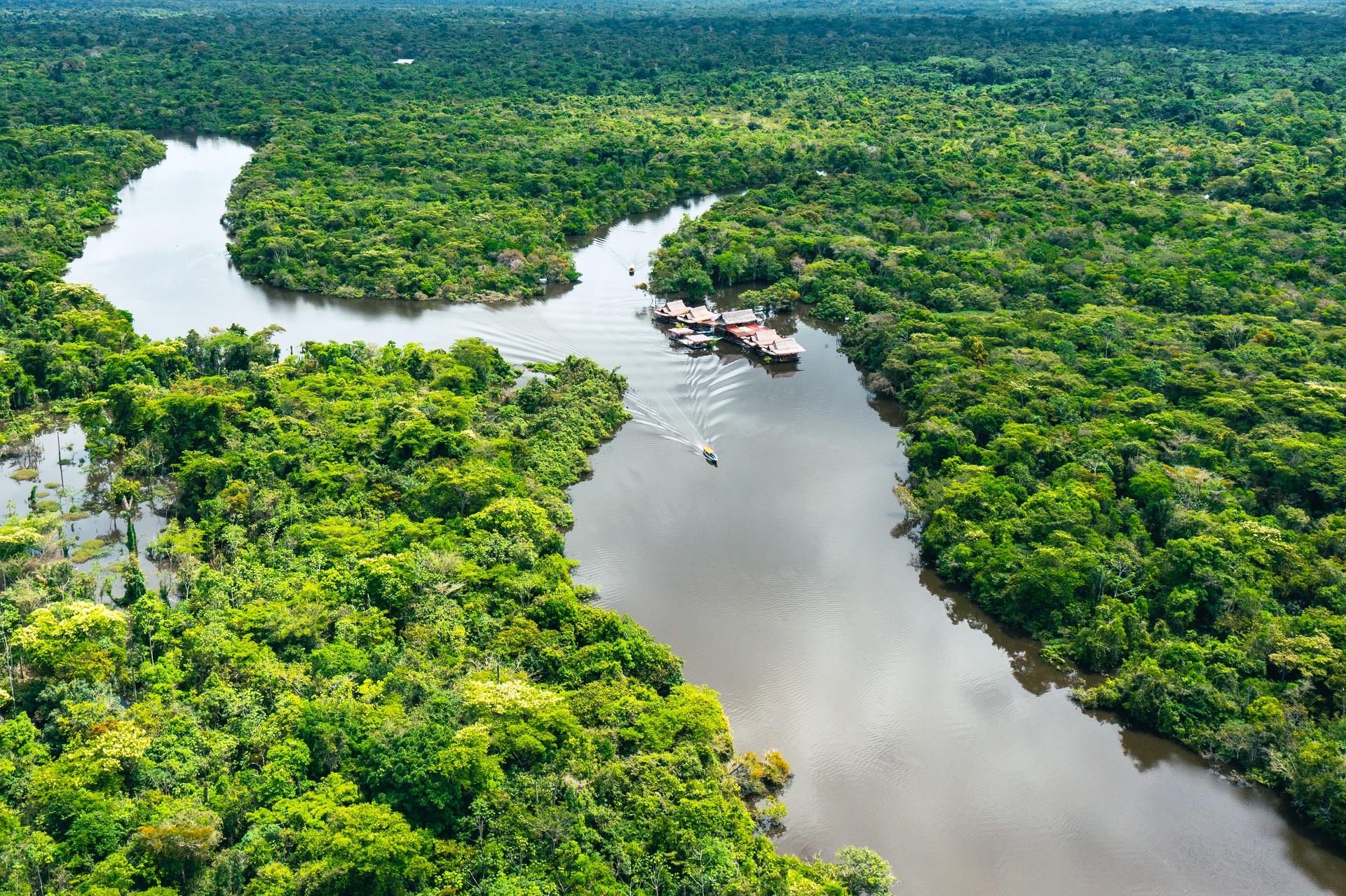 Aerial view of Amazon Rainforest in Peru.